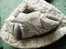 Image 02